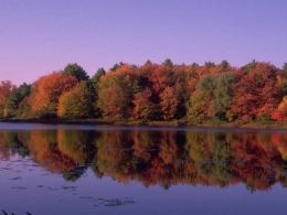 Jesen je stigla, sa sobom donoseći tople boje lišća i slikovite krajolike.